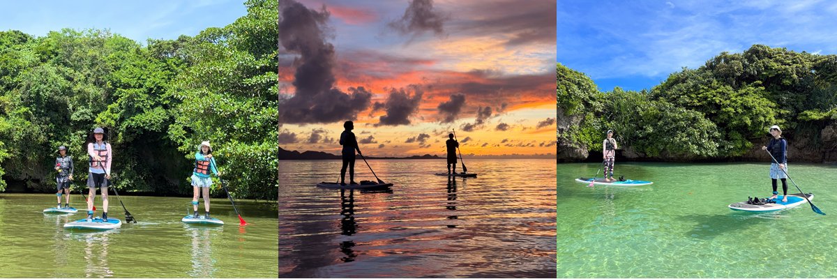 石垣島手軽なライトプラン・マングローブSUP/美ら海SUP/サンセットサンライズSUPツアー