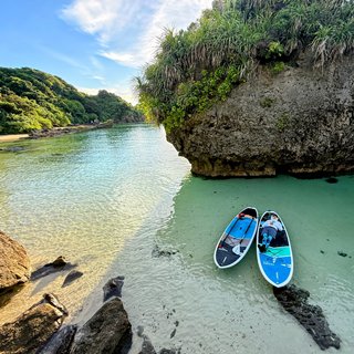 マングローブSUP