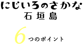 石垣島ツアーの6つのポイント
